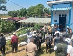 Ketika Sawah Retak Menanti Hujan: 72 Hektare Dipastikan Gagal Panen, Bupati Majalengka Tinjau Lokasi