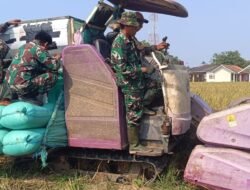 Babinsa Turun ke Sawah, Gempur Hama dan Kekeringan demi Swasembada Pangan