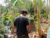 Sempat Bikin Panik Warga, Dikira Peluru Senpi, Ternyata TKA PT Yuesheng di Ligung Main Ketapel