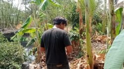 Sempat Bikin Panik Warga, Dikira Peluru Senpi, Ternyata TKA PT Yuesheng di Ligung Main Ketapel