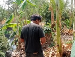 Sempat Bikin Panik Warga, Dikira Peluru Senpi, Ternyata TKA PT Yuesheng di Ligung Main Ketapel