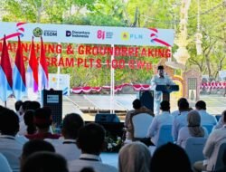 Prabowo Targetkan PLTS 100 GW dalam 3 Tahun, Kapasitasnya Tembus Lebih Besar dari Listrik Indonesia Saat Ini