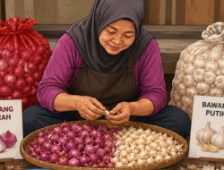 Pengupas Bawang Jadi Viral, Pekerjaan Sederhana yang Menopang Dapur hingga Industri