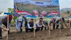 Bawang Putih Majalengka Digedor! Target Swasembada Nasional Dimulai dari Nunuk