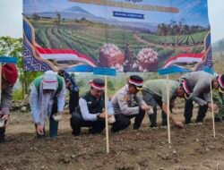 Bawang Putih Majalengka Digedor! Target Swasembada Nasional Dimulai dari Nunuk